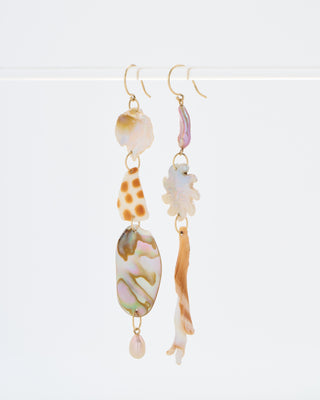 mixed conch swirl and indo pacific shell earrings