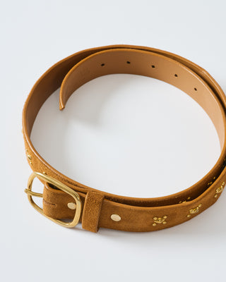 abejas belt