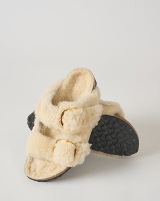 arizona big buckle teddy
