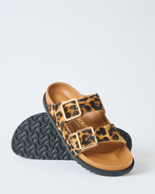 arizona pony like fur exq