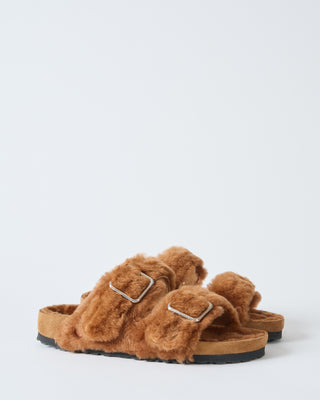 arizona shearling