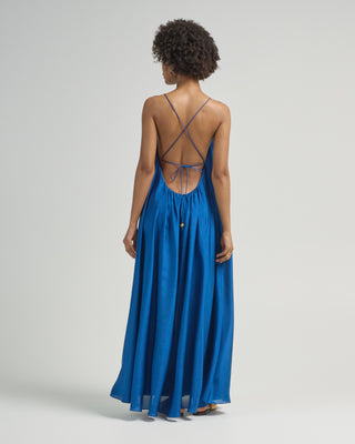 aster maxi dress Aster Maxi Dress