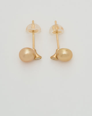 baby golden south sea pearl earrings