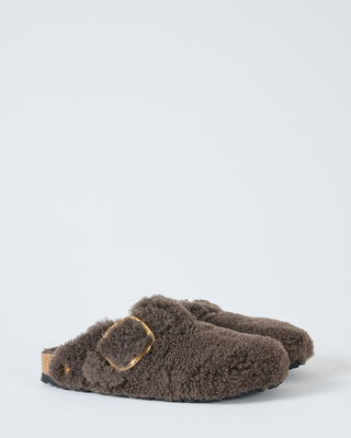 boston big buckle teddy