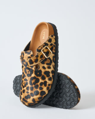 boston pony like fur exq