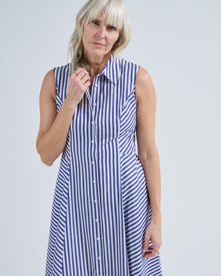 cara long sl stripe dress