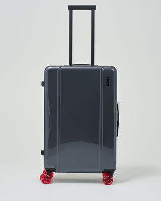 check in suitcase