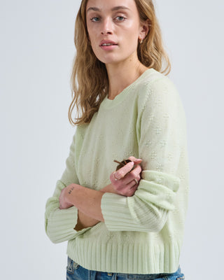 compass shrunken crew sweater