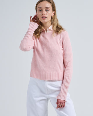 compass shrunken crew sweater