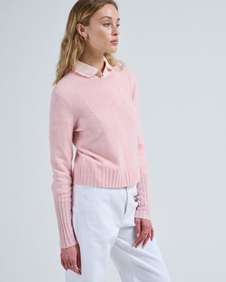 compass shrunken crew sweater