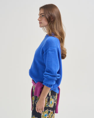 cozy crew sweater