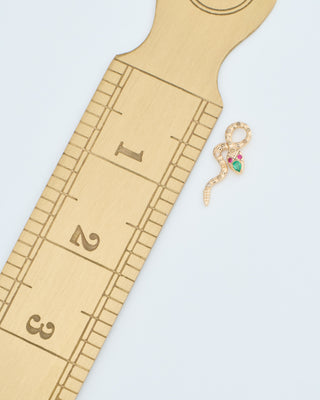 double sided coiled snake charm