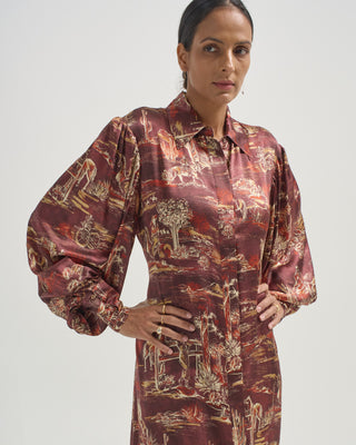 ezra silk shirtdress