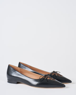 hedy 10 flat