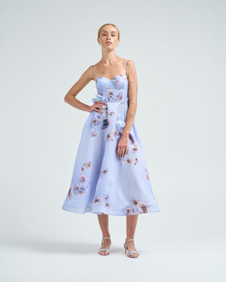 hypnotic picnic dress