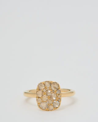 into the wild ring classic