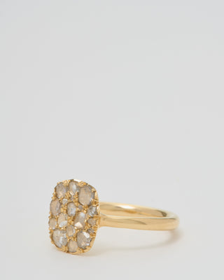 into the wild ring classic