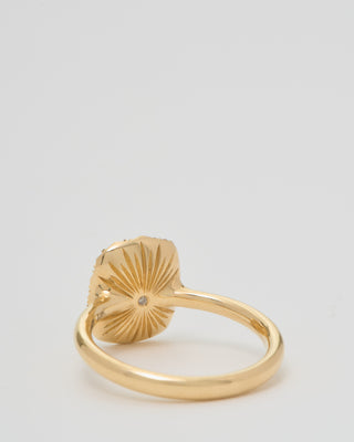 into the wild ring classic