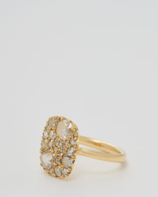 into the wild ring extra