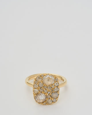 into the wild ring extra