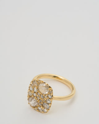 into the wild ring extra