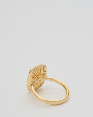 into the wild ring extra