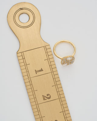 into the wild ring extra