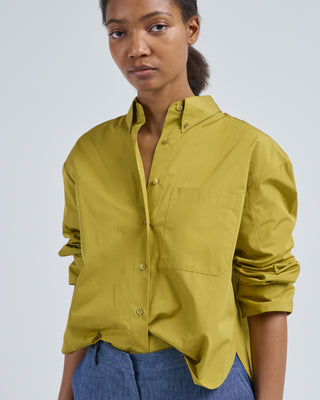 avocado dress shirt Cafe Paco LS Polo Shirt In Avocado