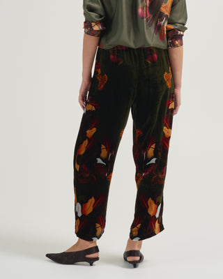 kanada trousers