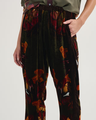 kanada trousers