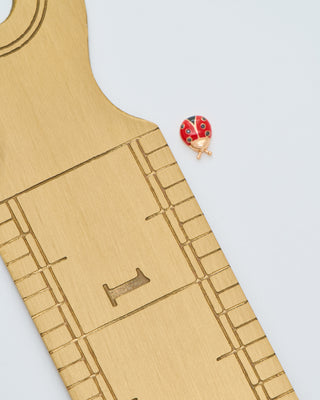 ladybug charm