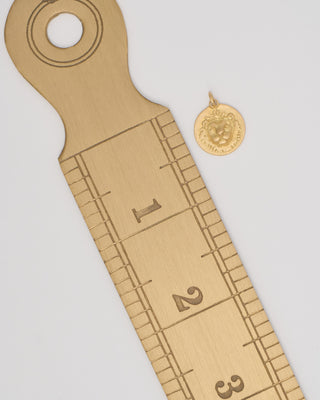 leo horoscope charm