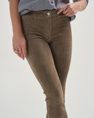 lively stretch suede pants