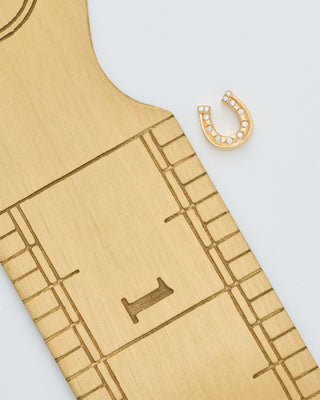 lucky horseshoe charm