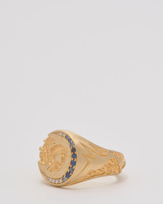 mini horse signet ring
