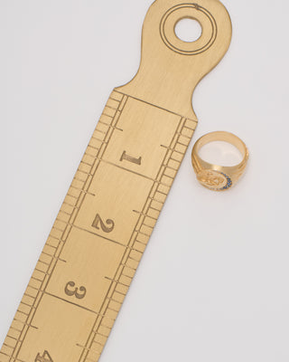 mini horse signet ring
