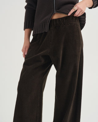panta chiaro velluto pants
