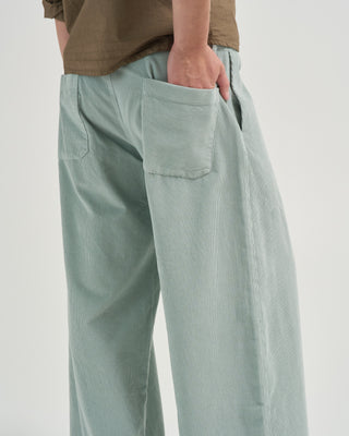 panta cobra sarca pants