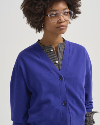 paul cardigan sweater