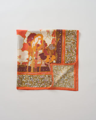 prospect vista scarf
