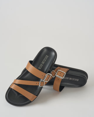 tayler sandal