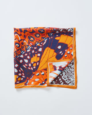 square carre 65 papillons