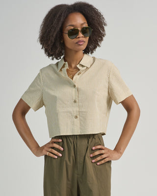 striped cropped shirt
