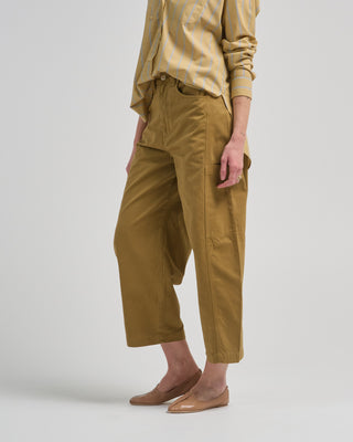 the baggy painter crop pant