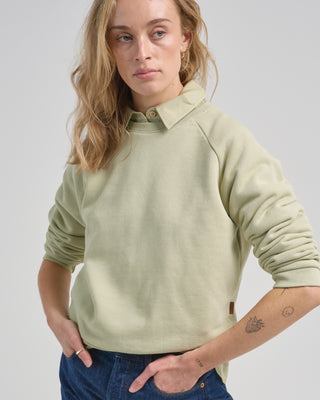 the daily sweatshirt