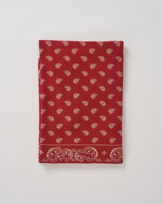 the wild rag scarf
