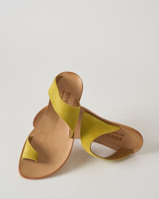 thong flat sandal