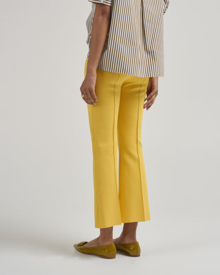 tonal stripe kick pant