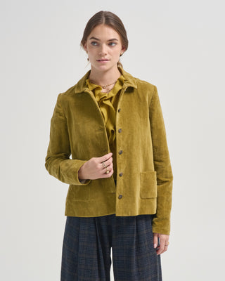 velvet shrunken jacket