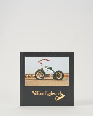 william eggleston's guide
